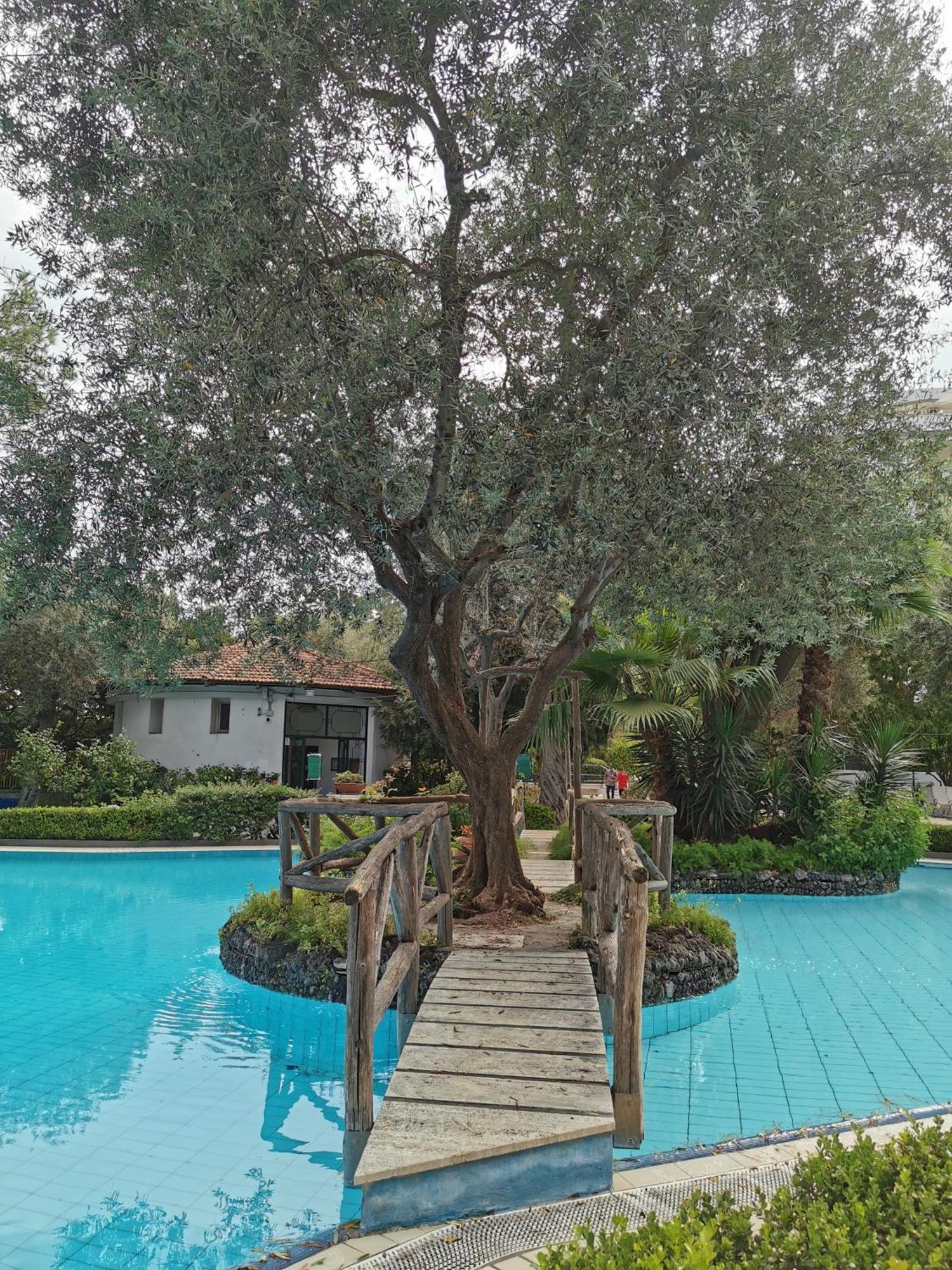 Casa Mar - Elegant Apartment With Pool And Panoramic Terrace In The Heart Of ซอร์เรนโต ภายนอก รูปภาพ